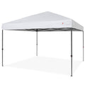 10x10ft Pop Up Canopy Tent with Wheeled Carry Case F1580