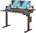 Electric Height Adjustable 55x24 Inches Standing Desk C801