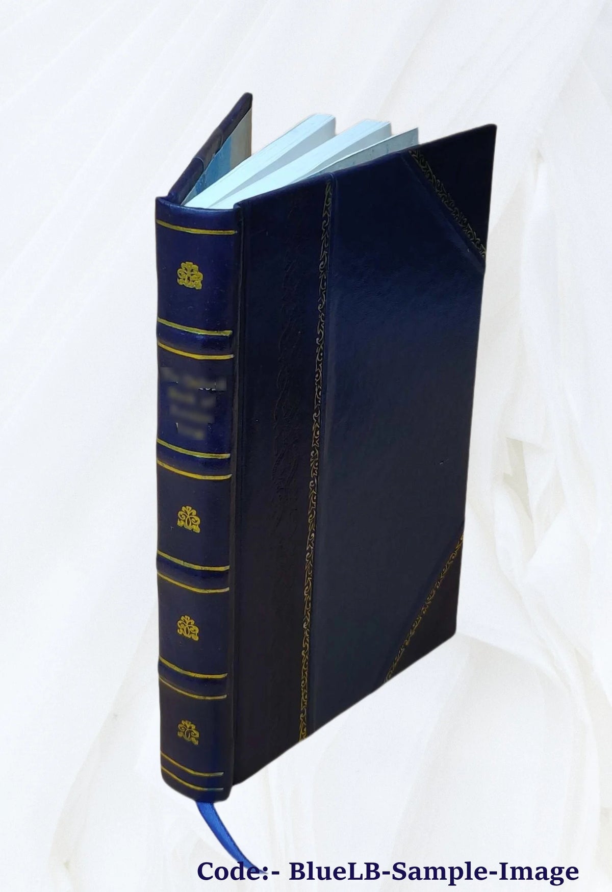 Leather Bound Book K20536