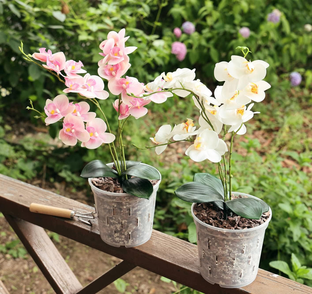 Clear Orchid Pot 6 Inch 5Pack Plastic Planter Y57972