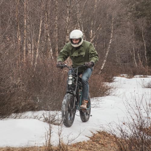 1000W Electric Bike with 48V 26Ah Battery P90083