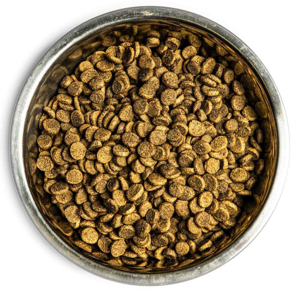 Dry Dog Food B90118