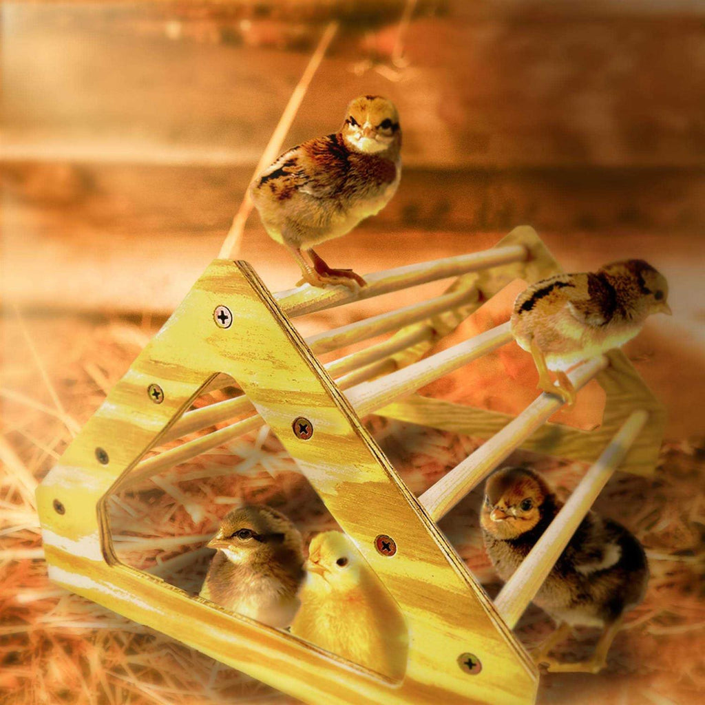 Chick Perch Roosting Bar Toy B345522