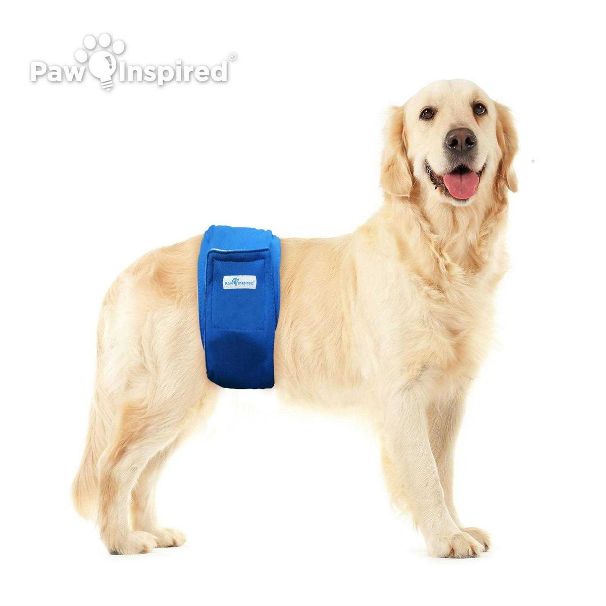Male Dog Wraps Washable Belly Band U93250