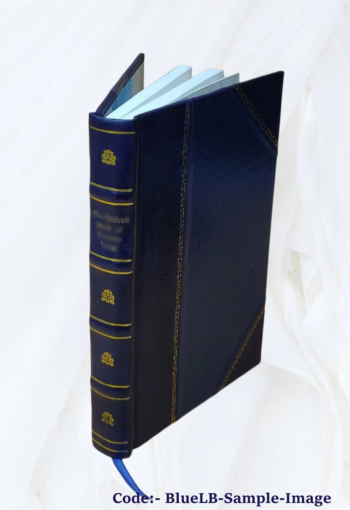 Leather Bound Book H818818