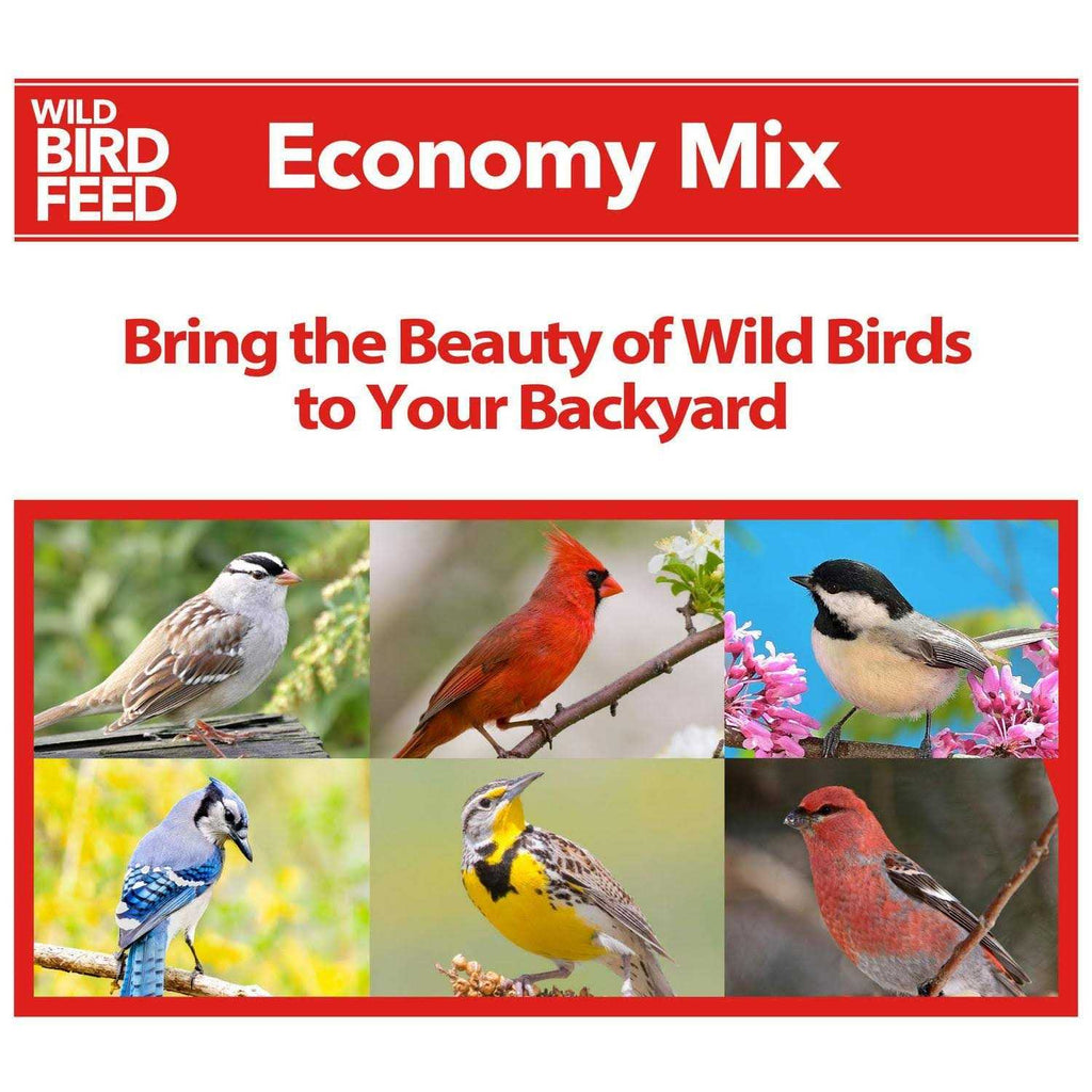 Economy Mix Wild Bird Feed O33457