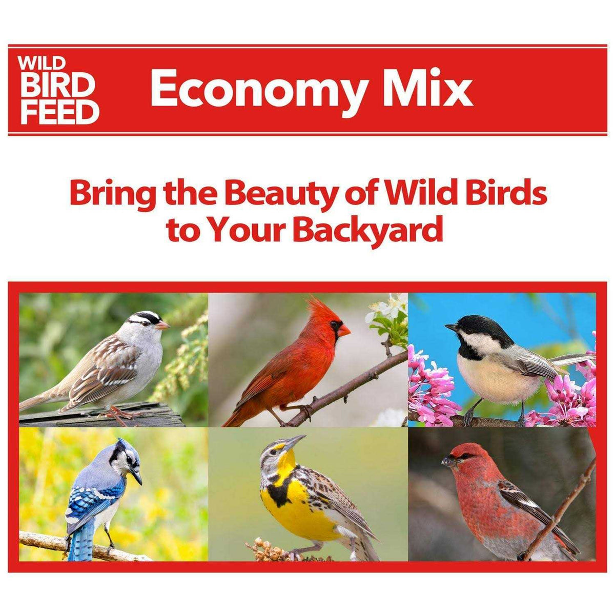 Economy Mix Wild Bird Feed O33457