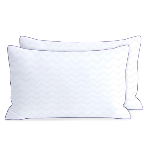 King Size Set of 2 Down Alternative Microfiber Bed Pillows K590484