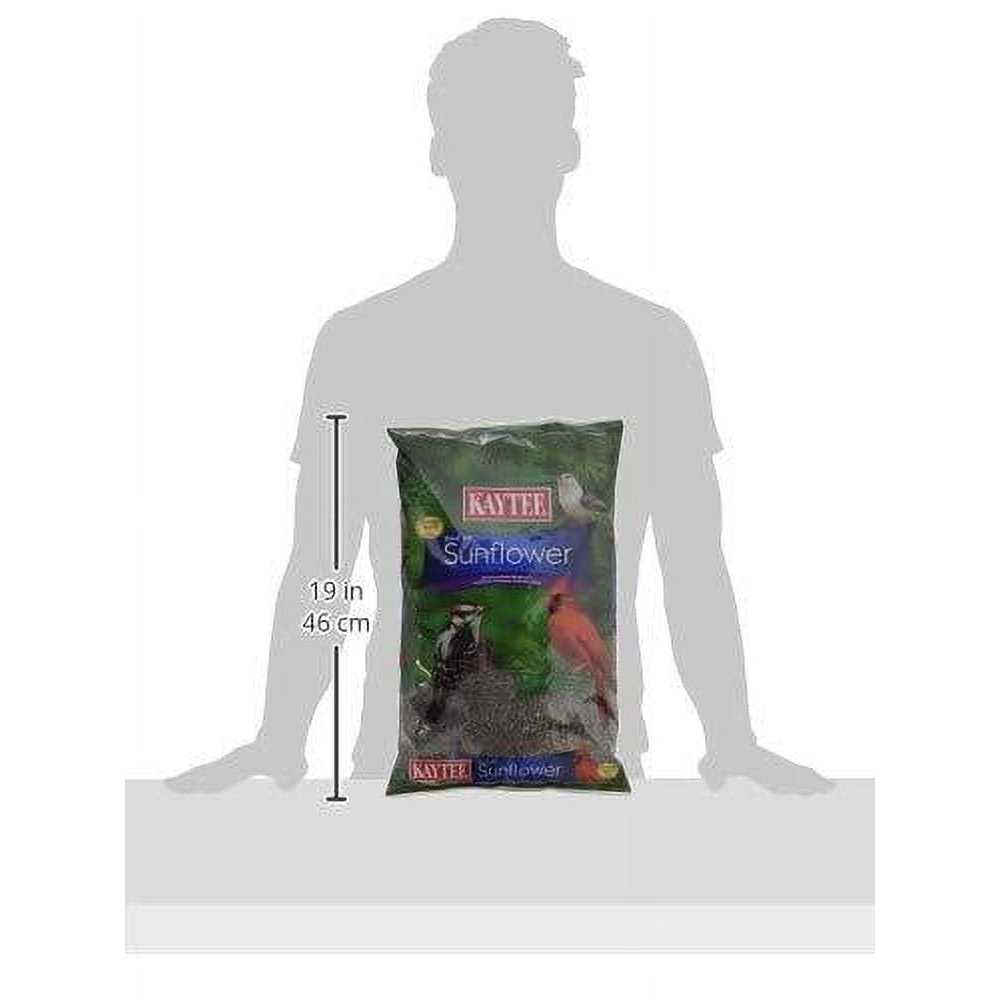 Black Oil Sunflower Food W646499