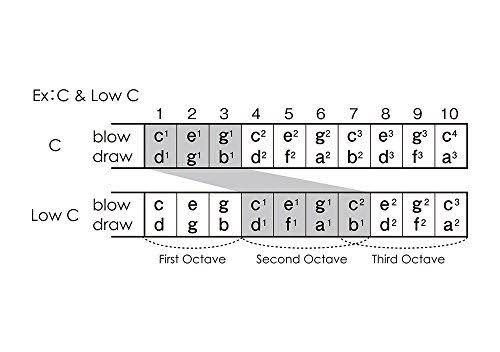 10-Hole Harmonica G809044