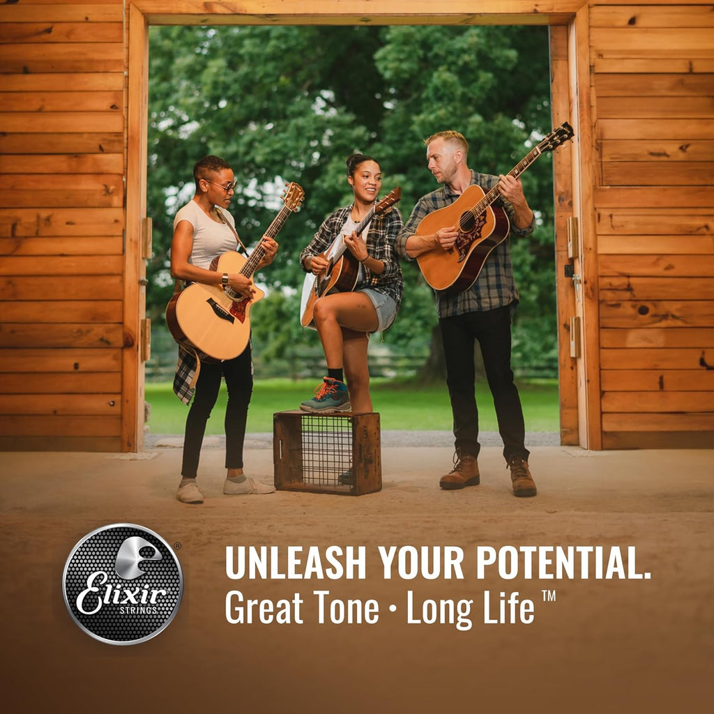 Acoustic Guitar Strings, 80/20 Bronze with POLYWEB Coating, 6 String Set, Custom Light 11-52 C421190