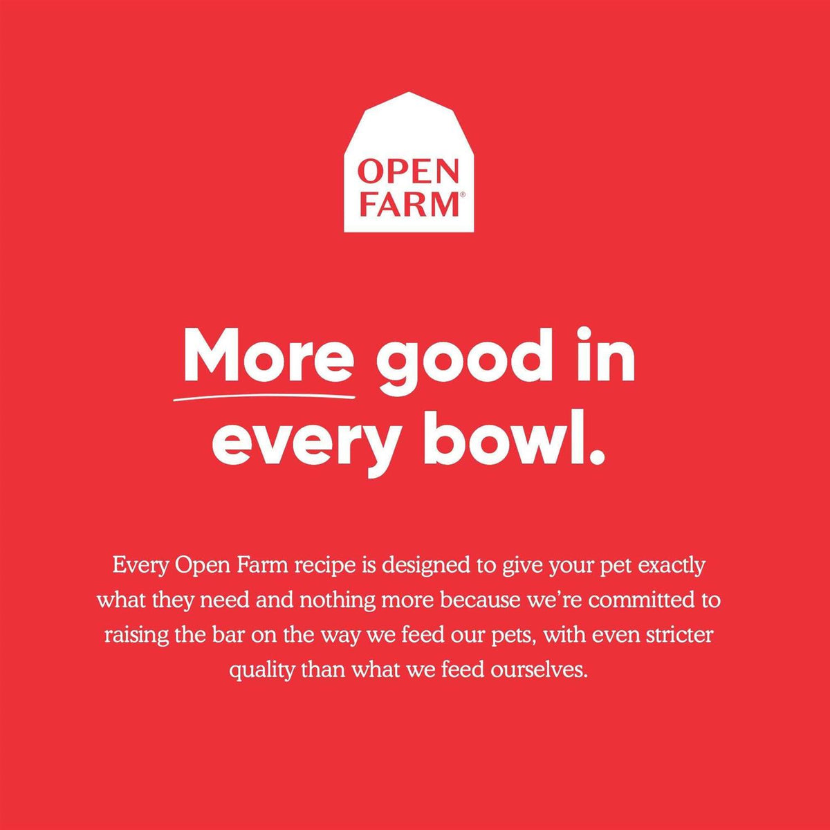 Grass-Fed Beef Bone Broth P7432
