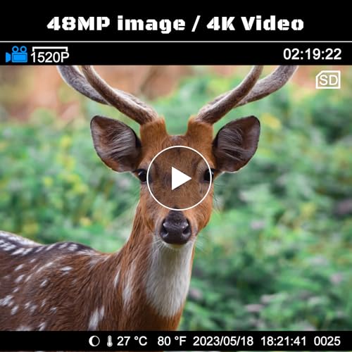4K 48MP Night Vision Trail Camera D857