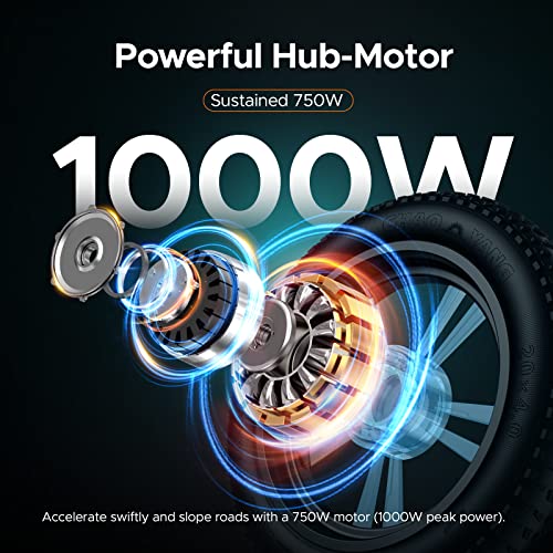 1000W Electric Bike with 48V 26Ah Battery P90083