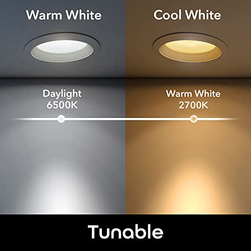 4 Pack BR30 LED Smart Light Bulb C479