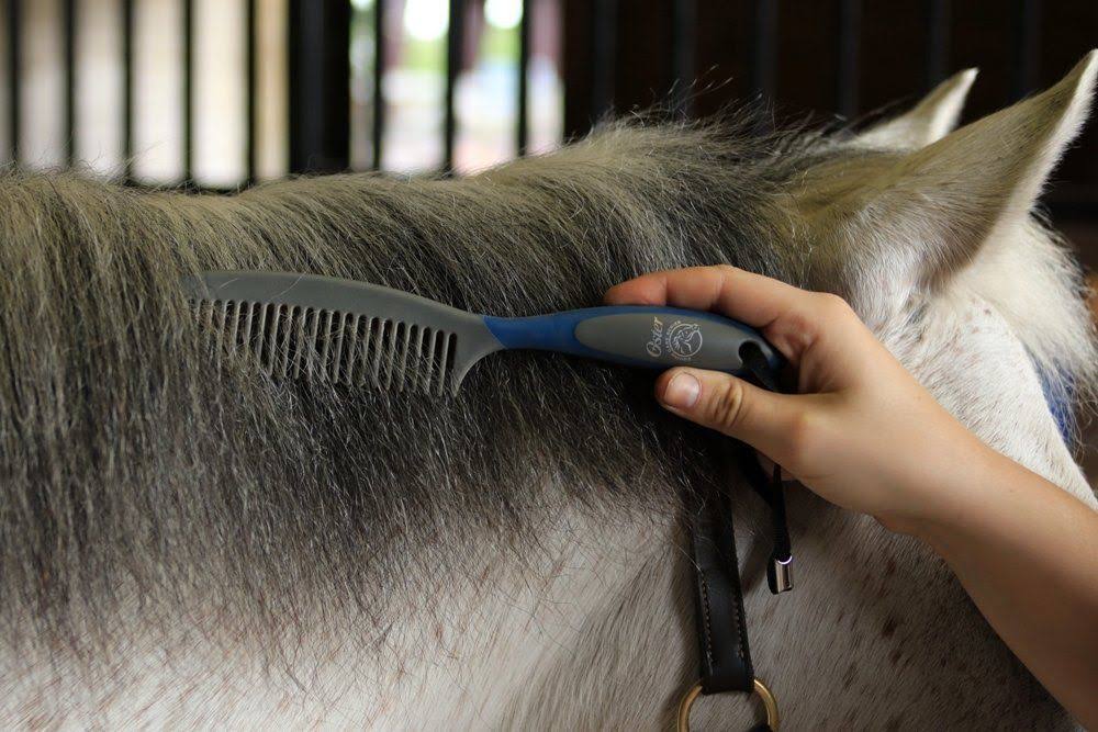 7-Piece Blue Grooming Kit F9188