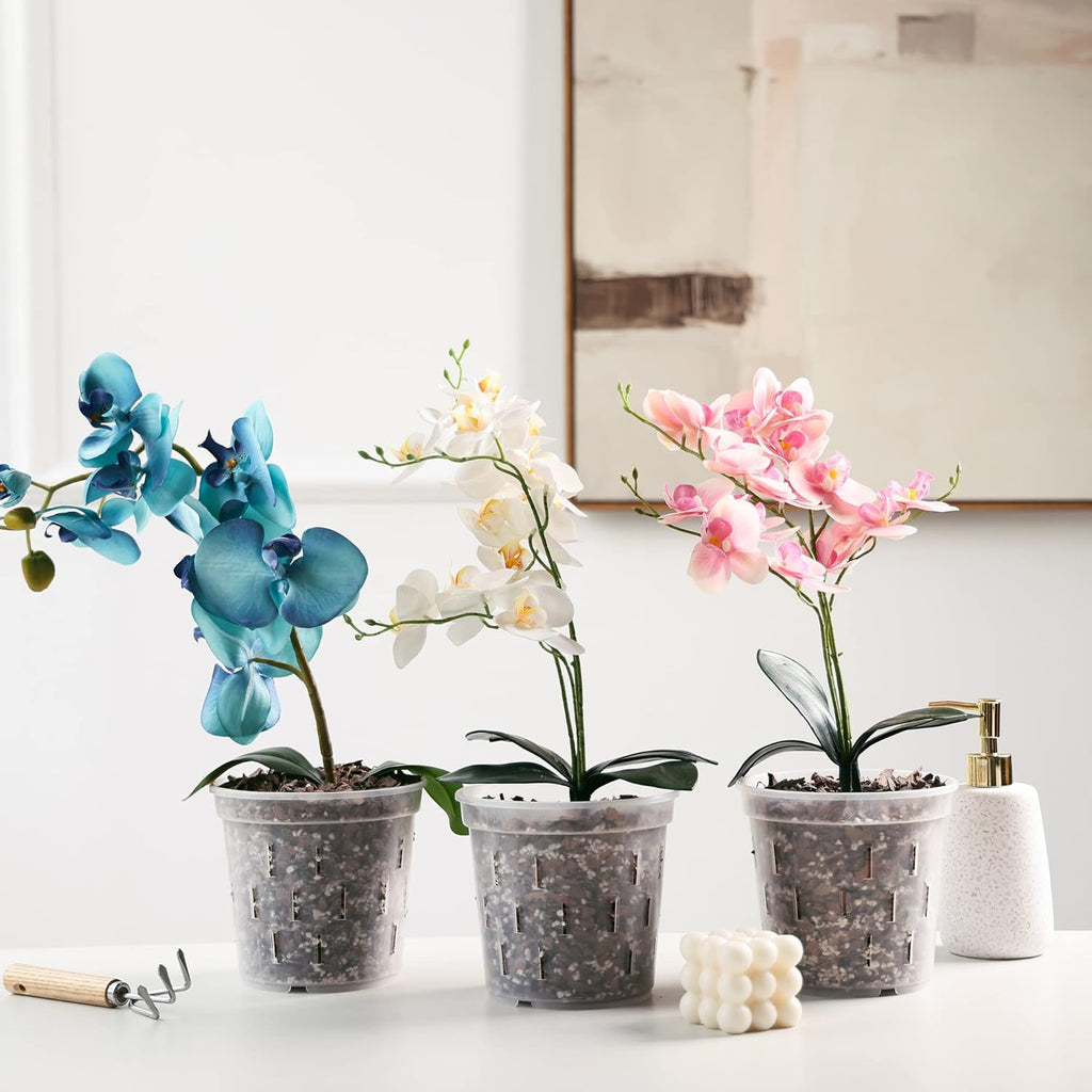 Clear Orchid Pot 6 Inch 5Pack Plastic Planter Y57972