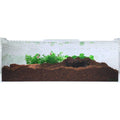 Acrylic Terrarium Extra Large Flat U128