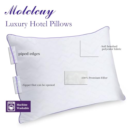 King Size Set of 2 Down Alternative Microfiber Bed Pillows K590484