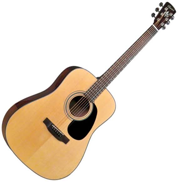 Dreadnaught Acoustic Guitar V595