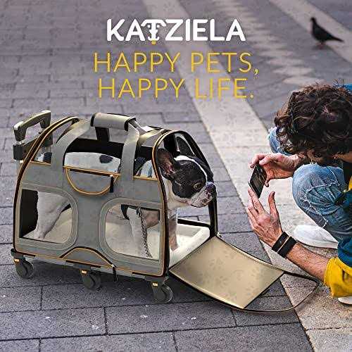 Pet Carrier with Removable Wheels and Double Telescopic Handle T948388