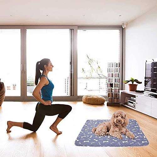Washable Reusable Non-Slip Dog Pee Pads 2 Pack V3844