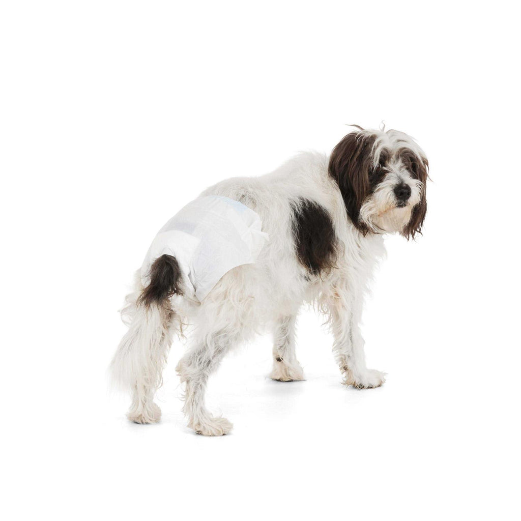 Disposable Pet Diapers S82906