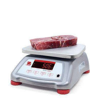 Legal for Trade Food Scale V33731