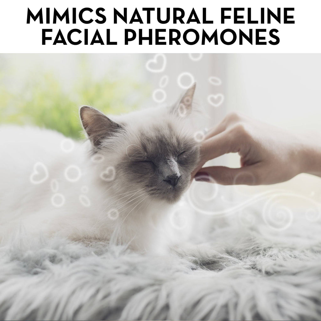 Cat Calming Pheromone Diffuser Kit Y613