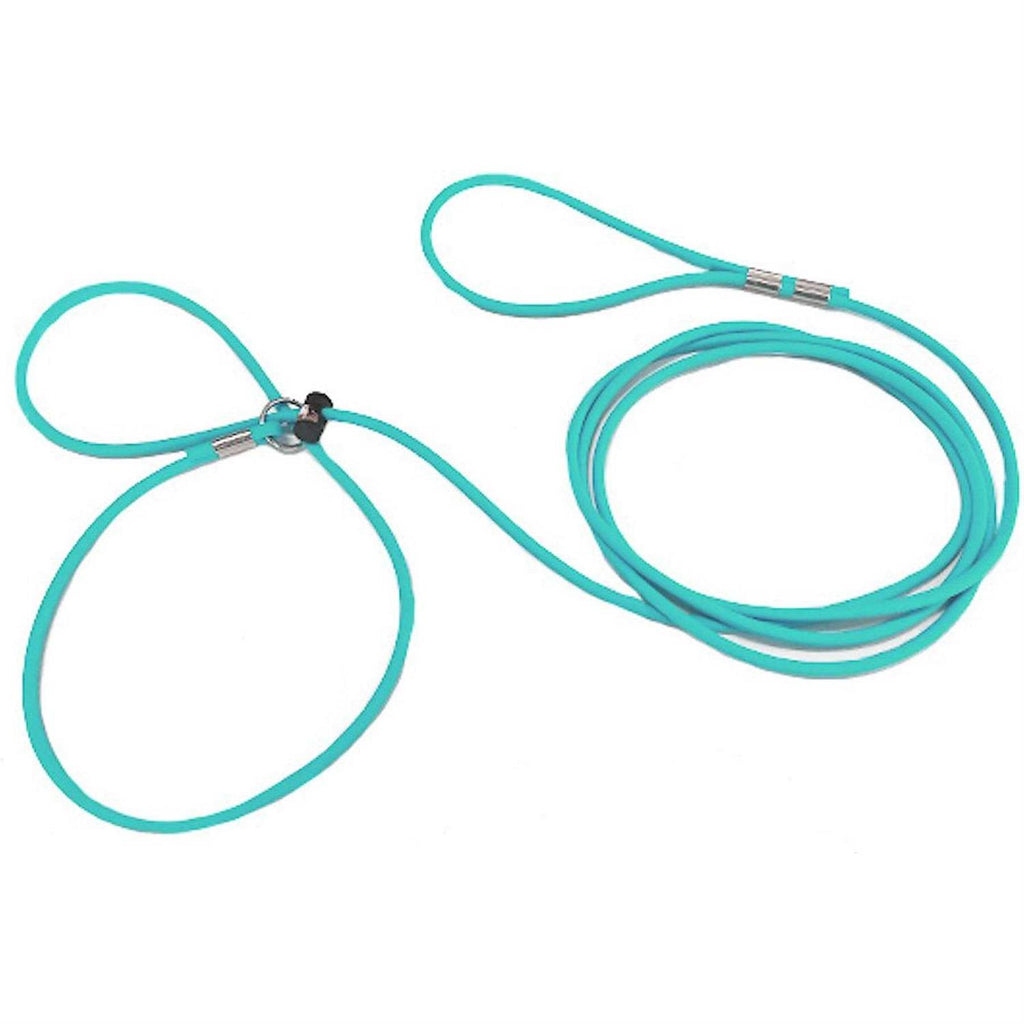 Adjustable Mini Pig Harness and Leash R541