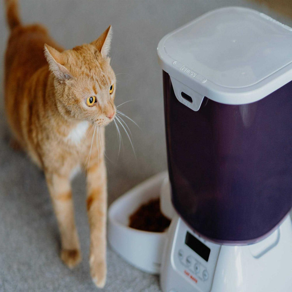 Automatic Dry Pet Food Feeder O983022