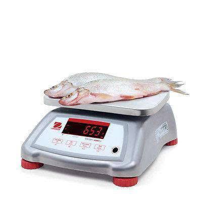 Legal for Trade Food Scale V33731
