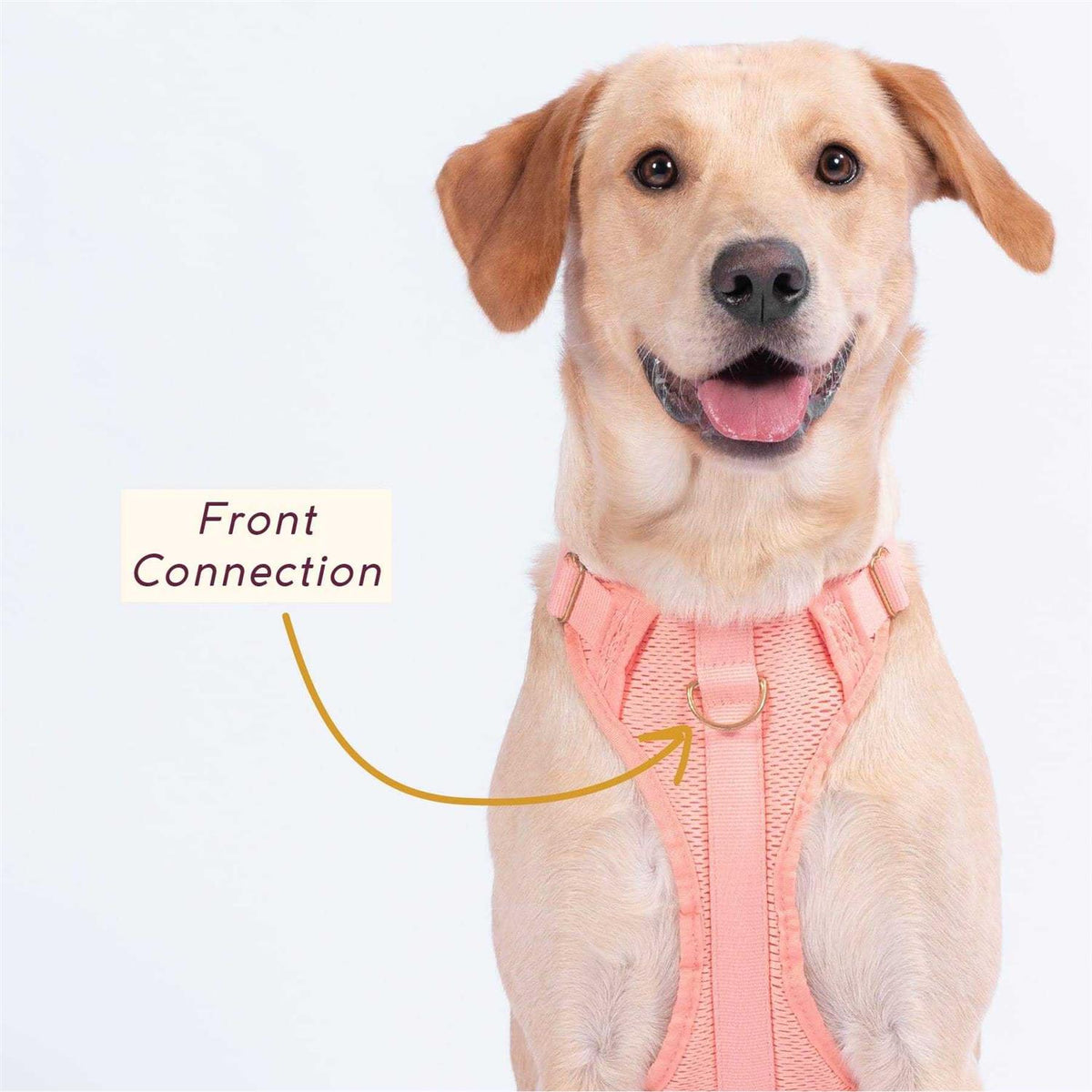Huggie Harness I845