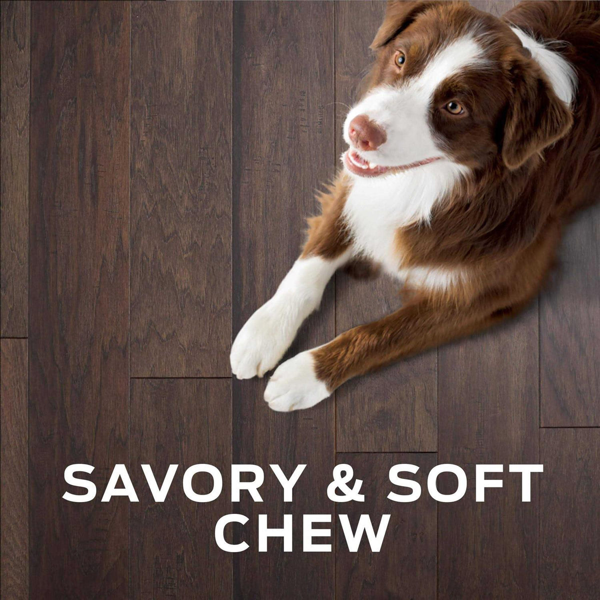 Dog Treats H1591