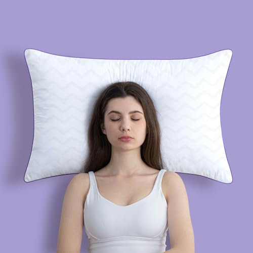 King Size Set of 2 Down Alternative Microfiber Bed Pillows K590484