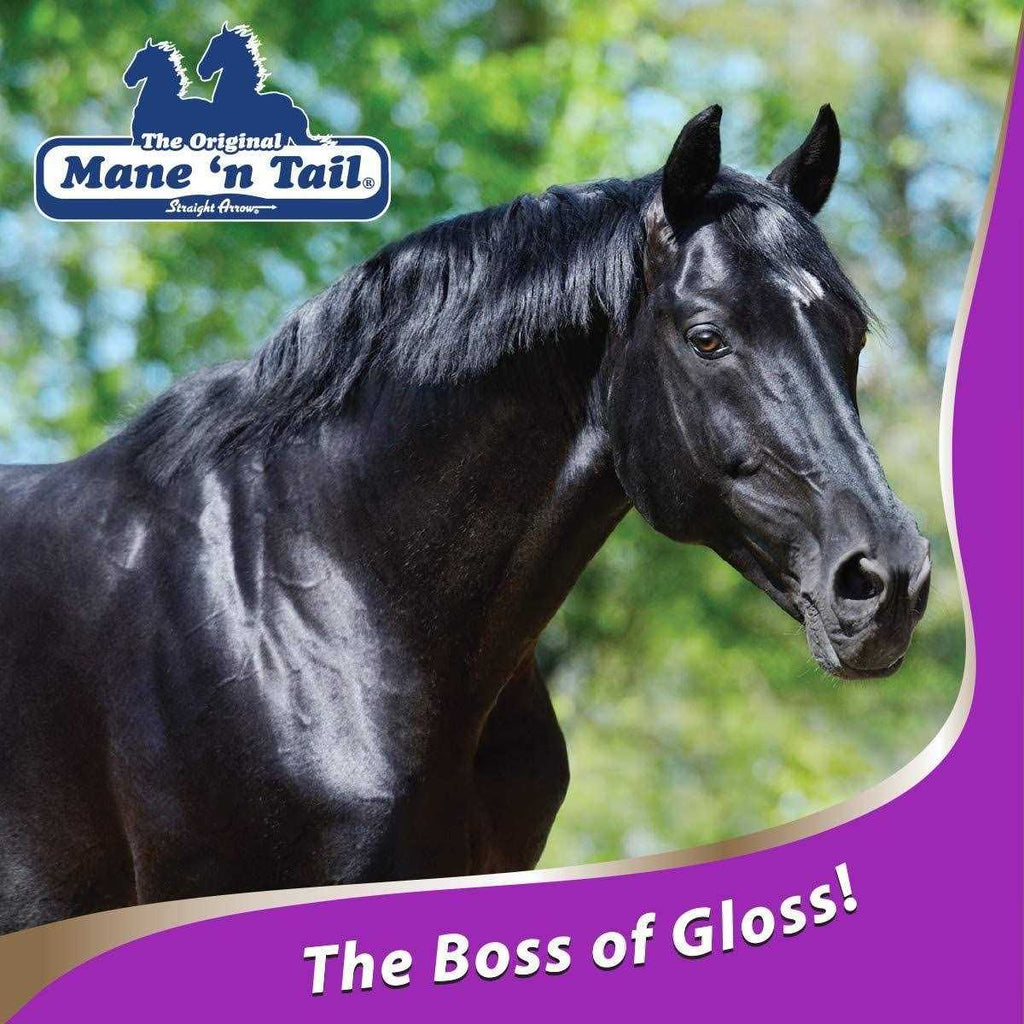 Gloss Conditioner A28964