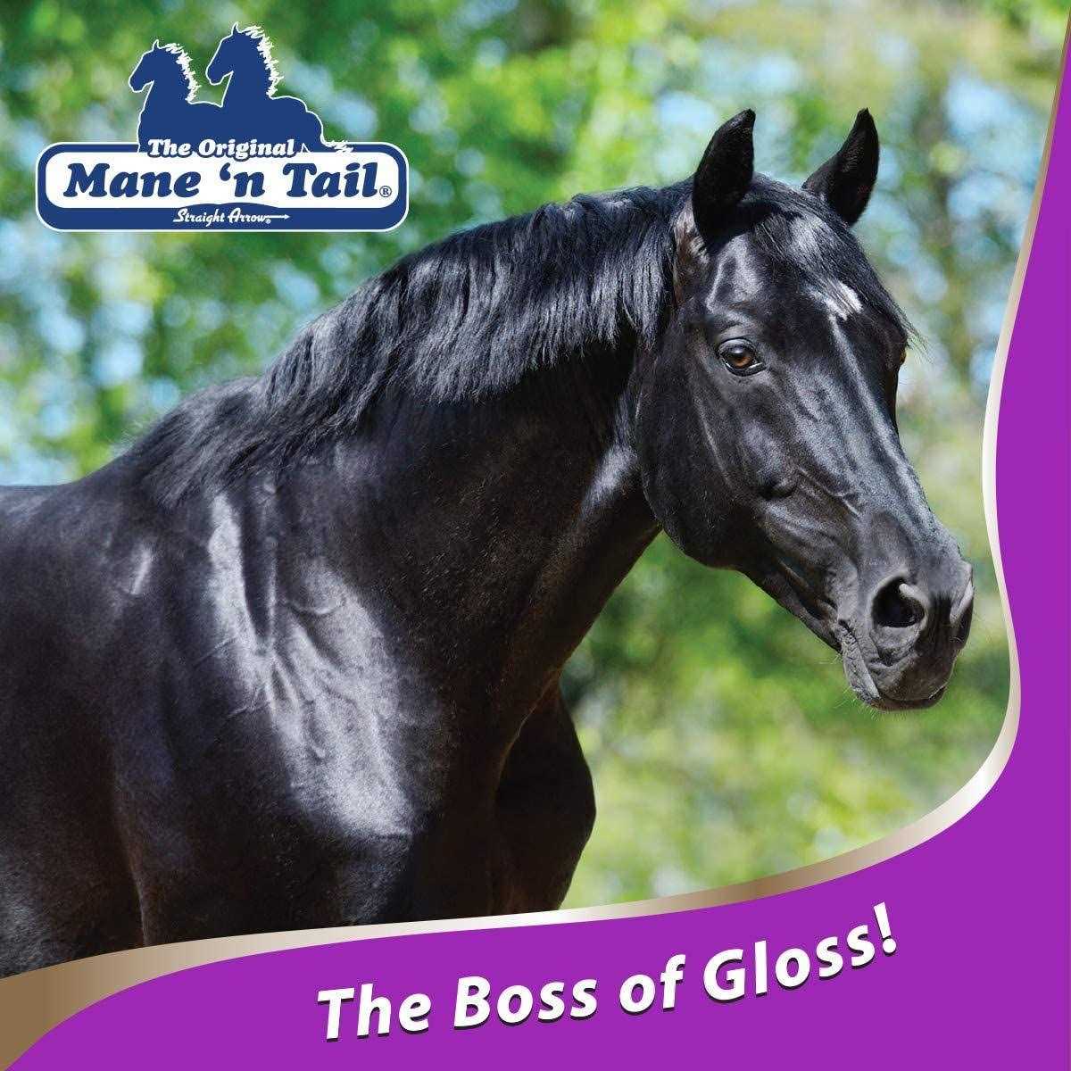 Gloss Conditioner A28964