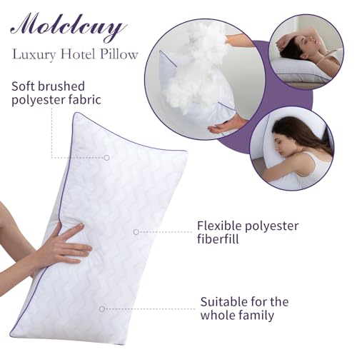 King Size Set of 2 Down Alternative Microfiber Bed Pillows K590484